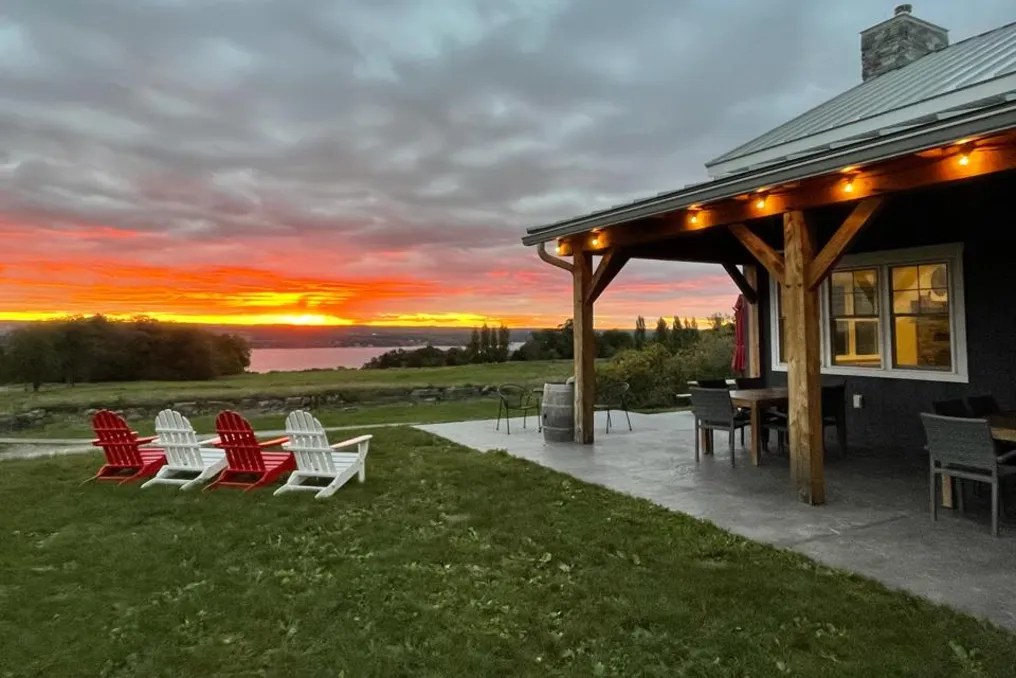 Bright Leaf Vineyard #9