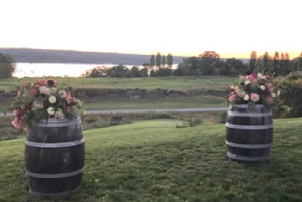 Bright Leaf Vineyard #11