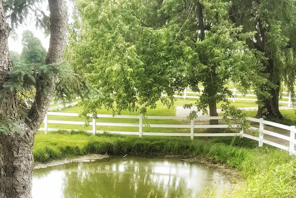 The Fairway of Kent County #8