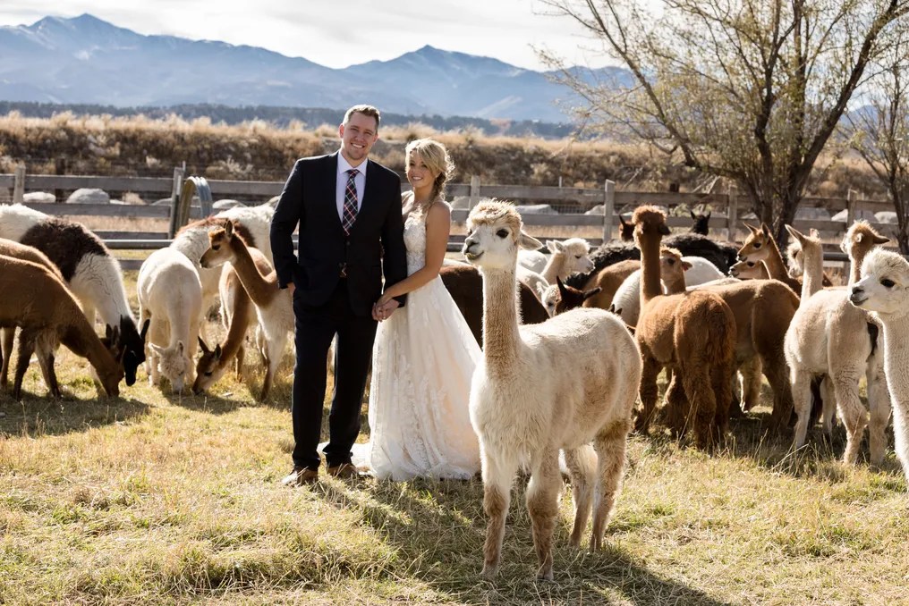 Everett Ranch Weddings #65