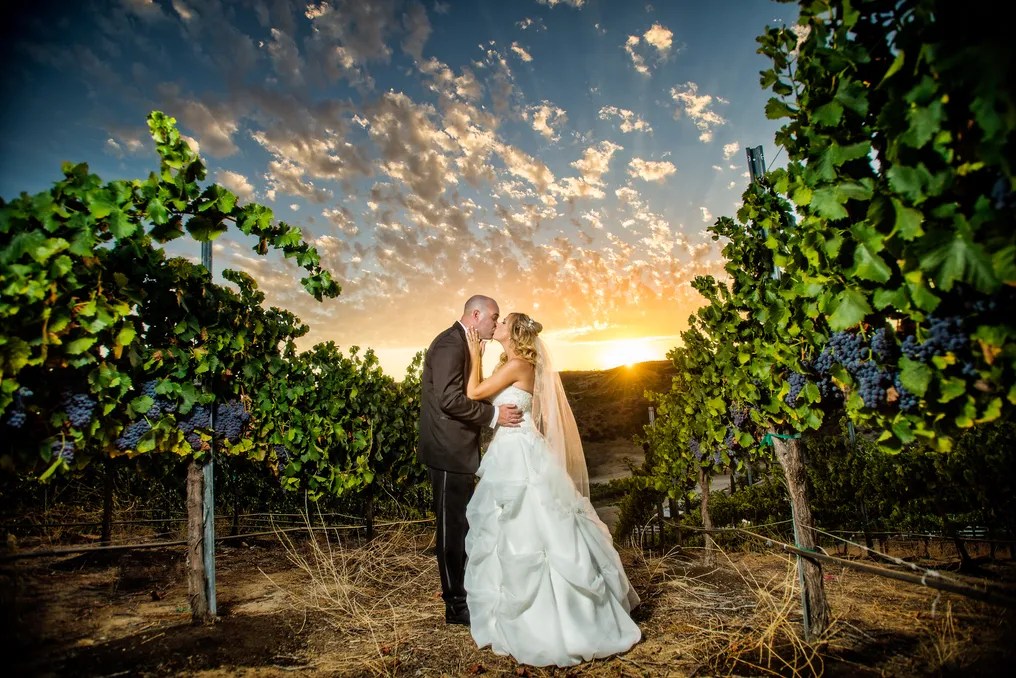 Gershon Bachus Vintners #25