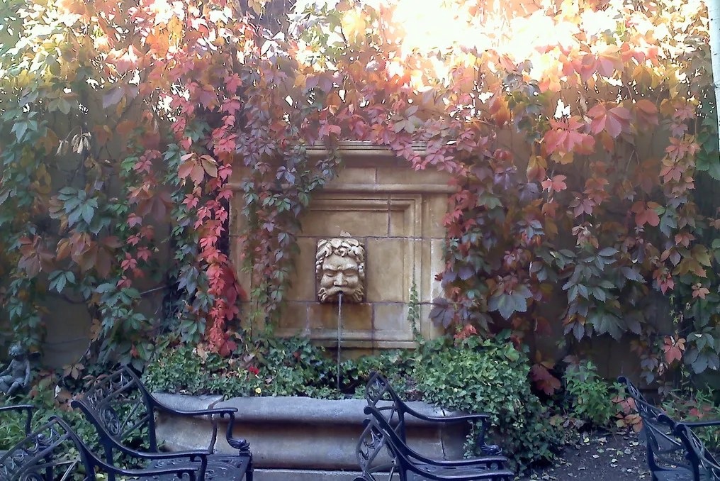Beaumont Hotel & Spa #161