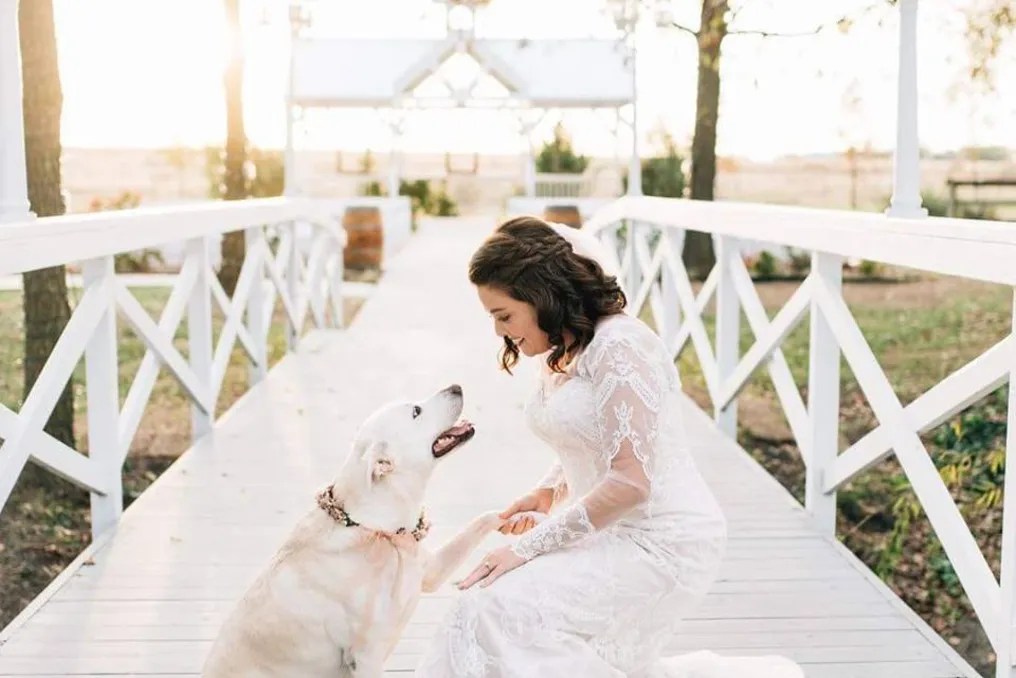 Willow Creek Wedding & Event Venue #105