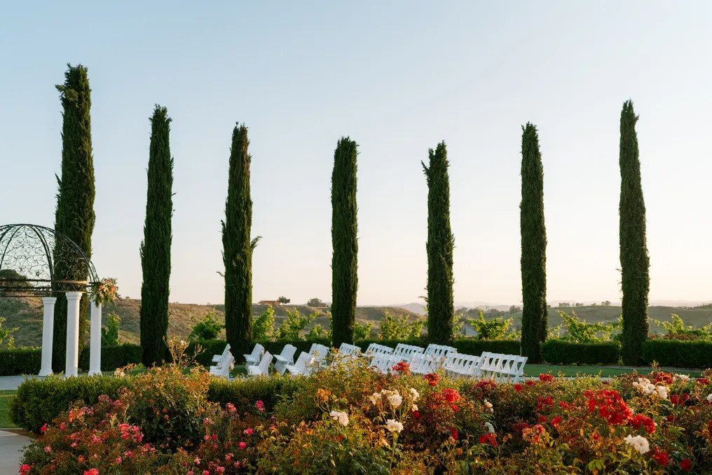 Avensole Winery #25
