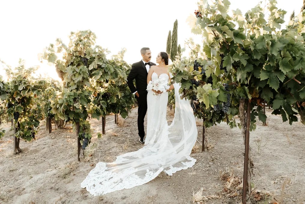 Avensole Winery #38