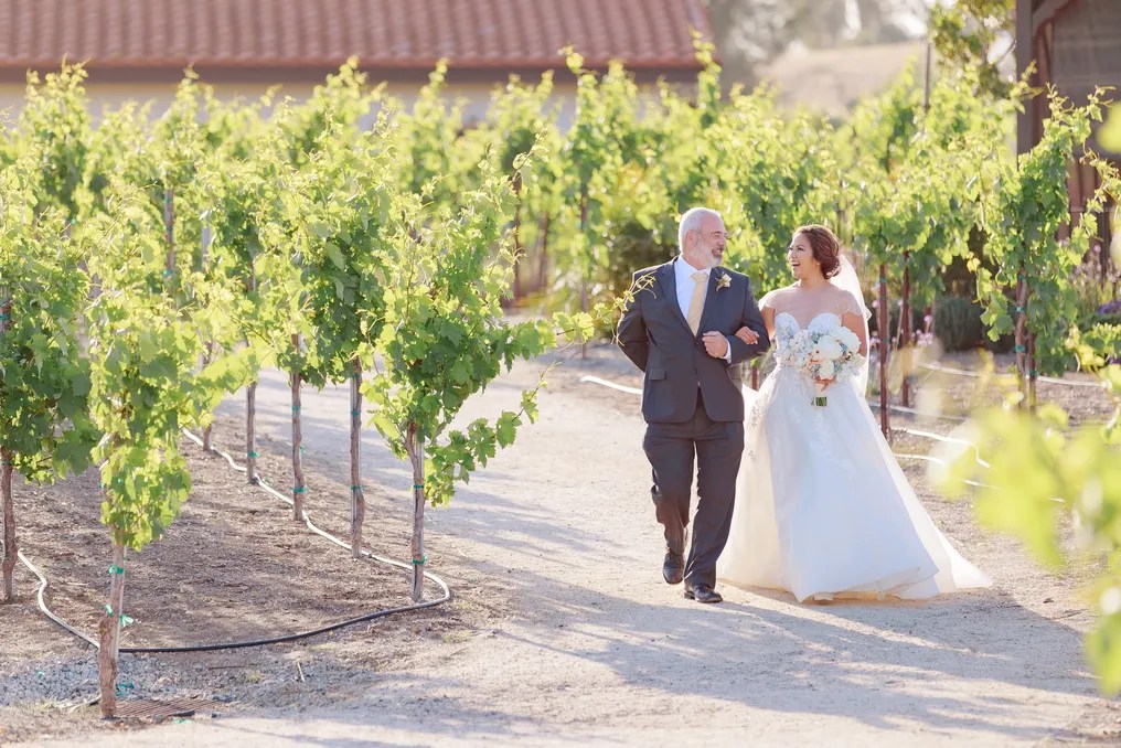 Avensole Winery #101