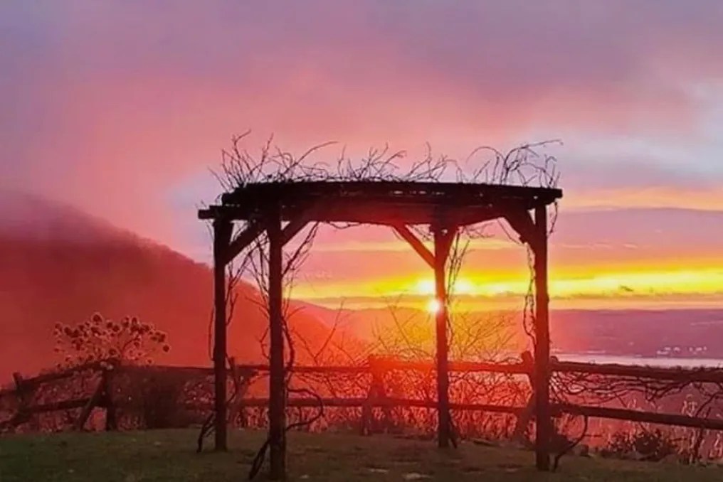 Lambs Hill Venue #36