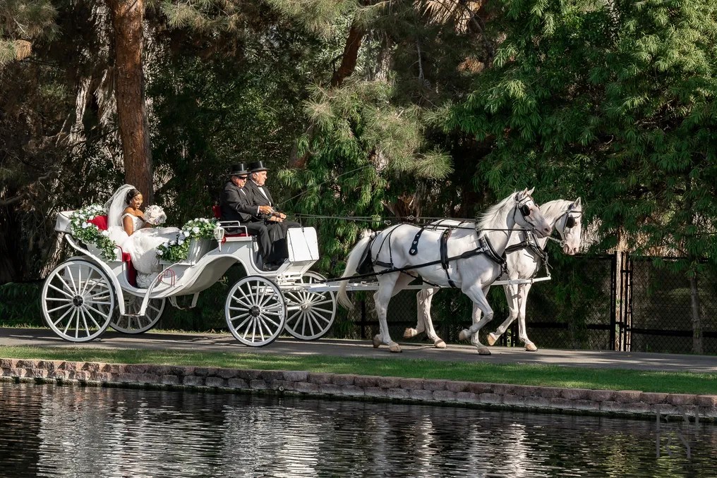 Grand Tradition Estate & Gardens #51