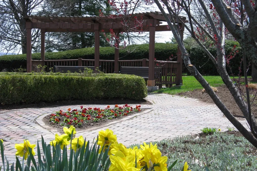 Wickham Park #43