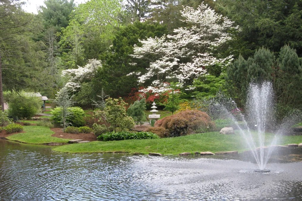 Wickham Park #44