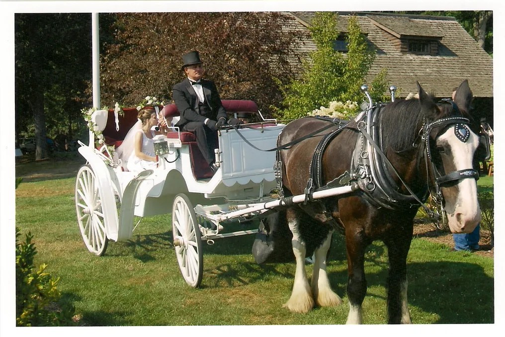 Wickham Park #50