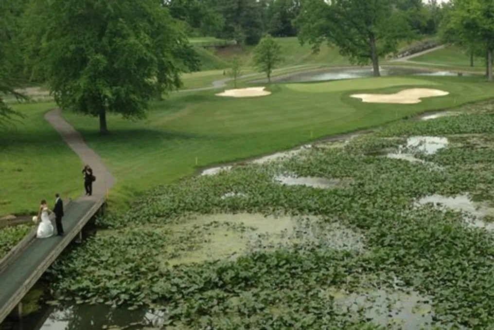 The Elyria Country Club #13