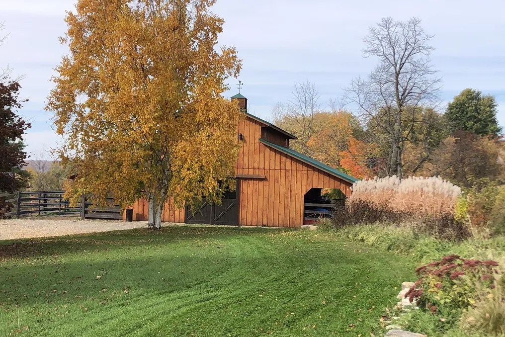The Pavilion at Paradise Gardens, Gatherings and Gifts #29