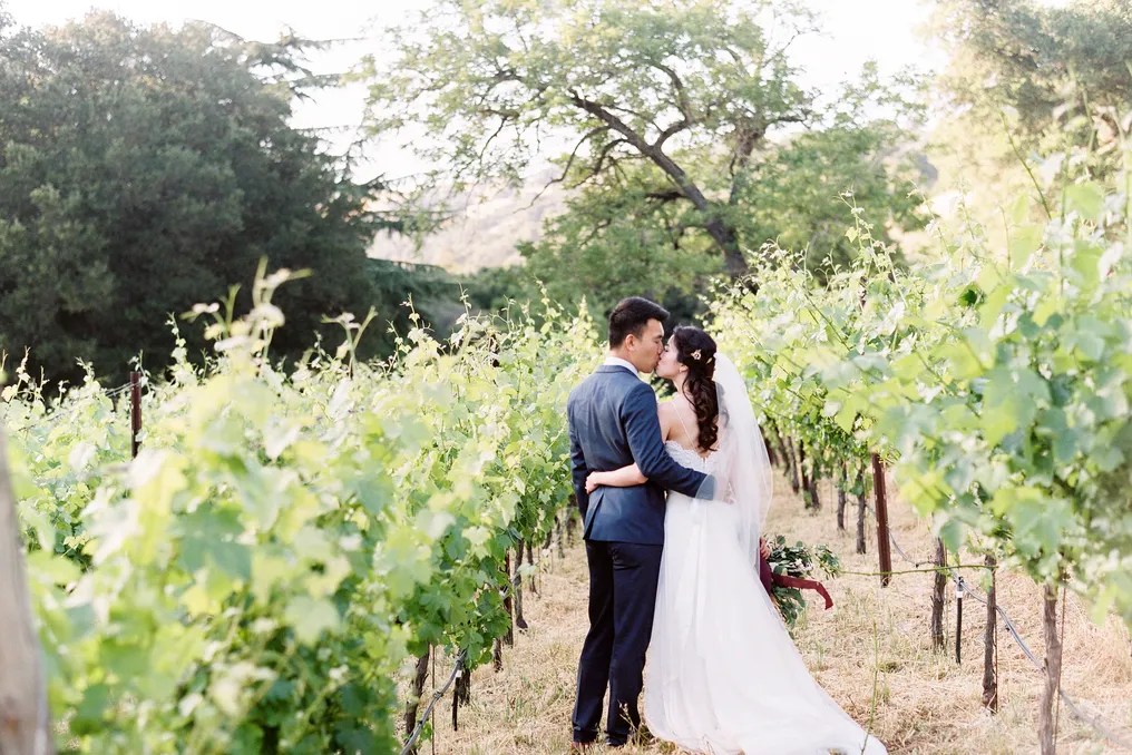 Elliston Vineyards #12