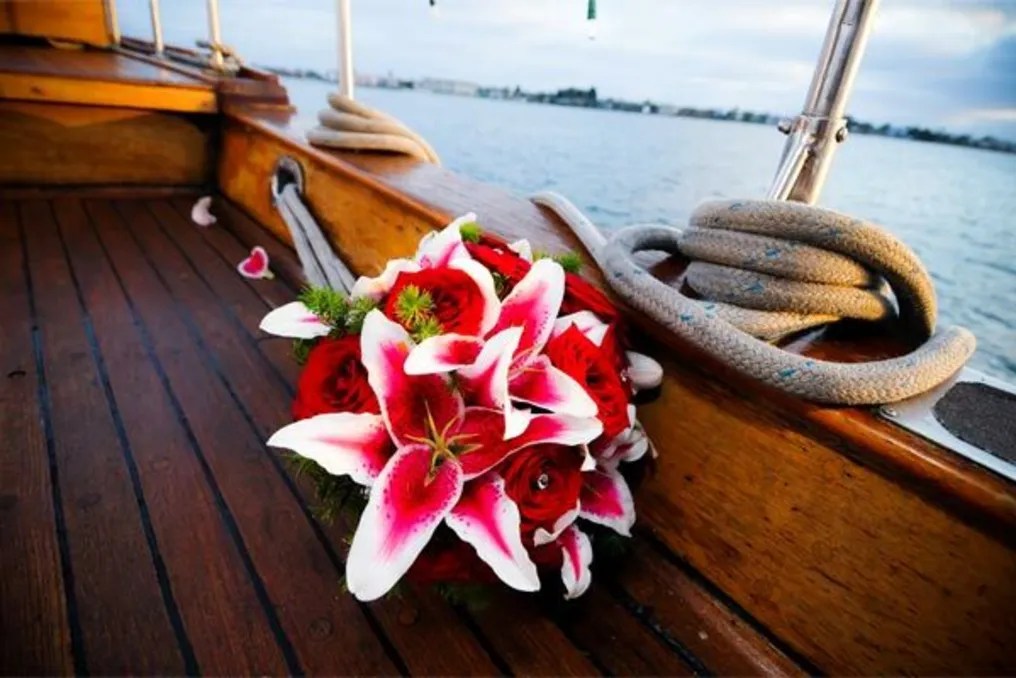 City Cruises - San Diego #7