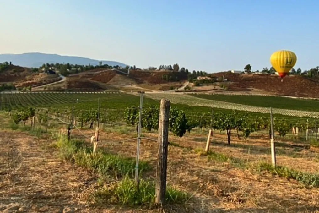 Maurice Carrie Winery #4