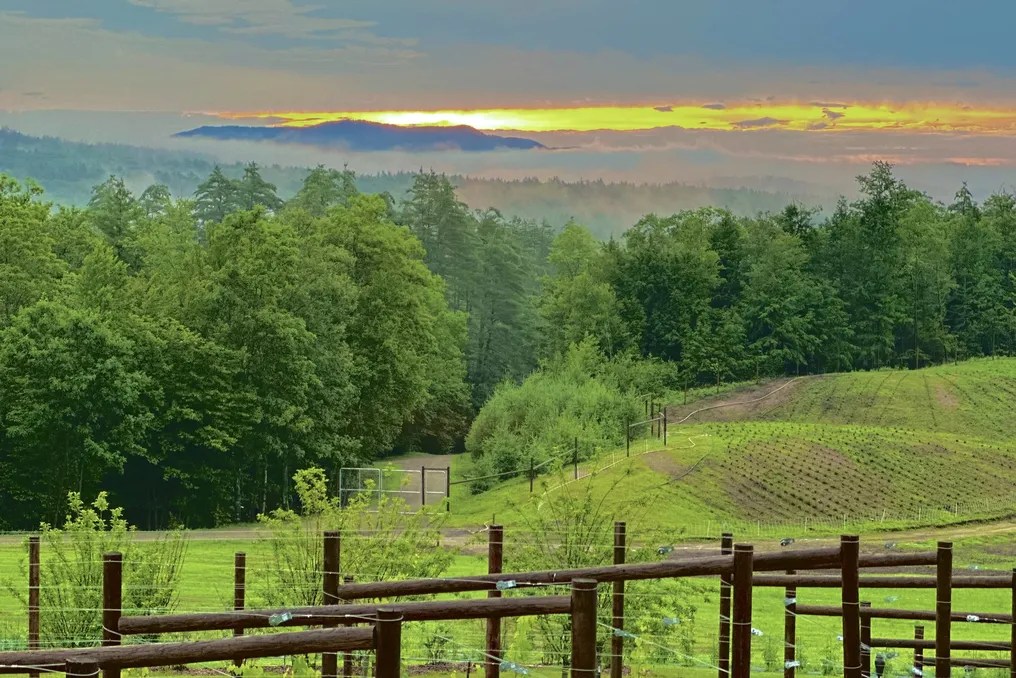 The Farm at Wolf Pine Hollow #7
