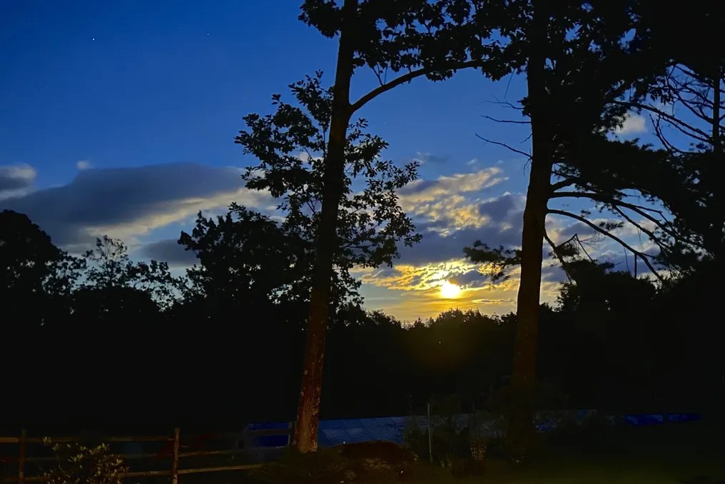 The Farm at Wolf Pine Hollow #19
