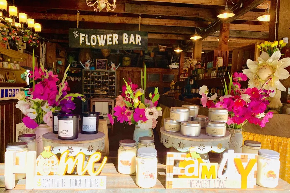 The Farm at Wolf Pine Hollow #21