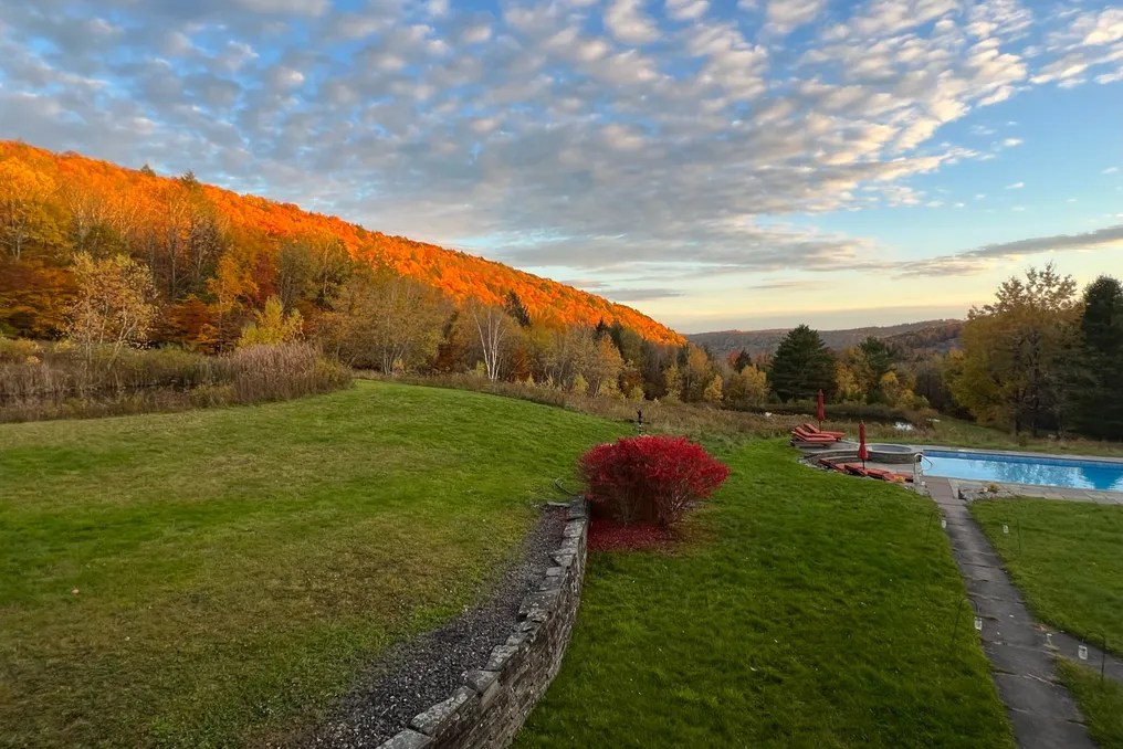 Mountain Meadows #45