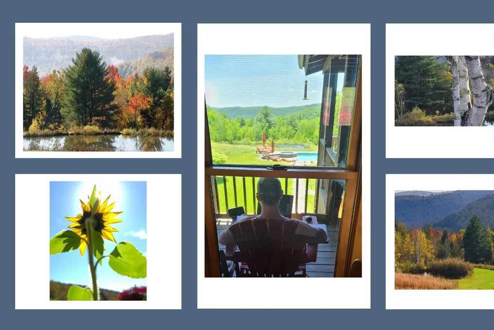 Mountain Meadows #78