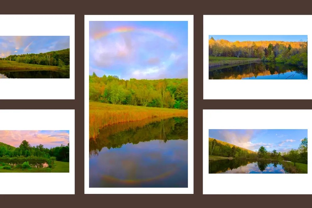 Mountain Meadows #87
