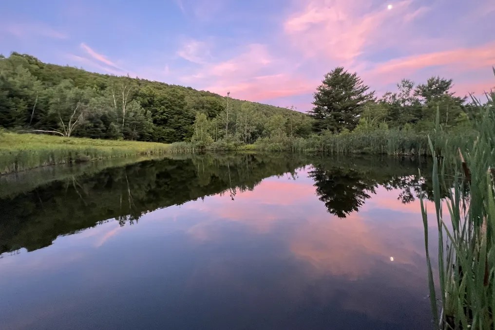 Mountain Meadows #146