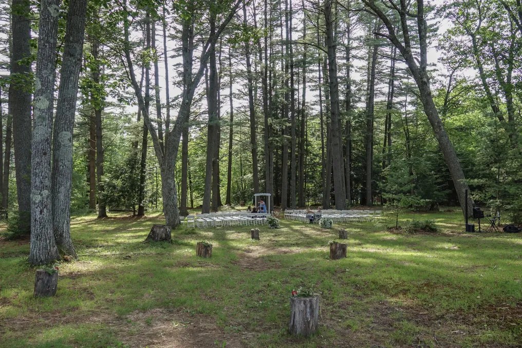 Pine Lake Park #9