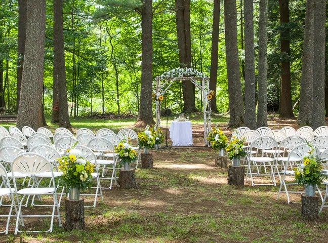 Pine Lake Park #17