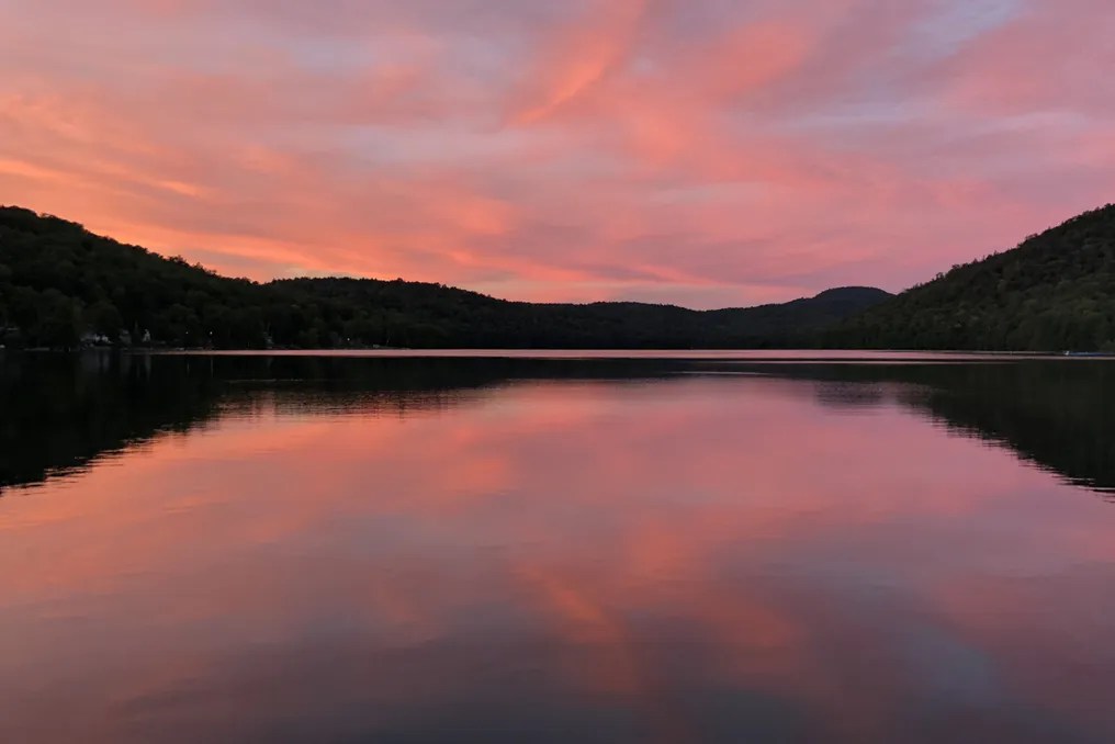Pine Lake Park #48