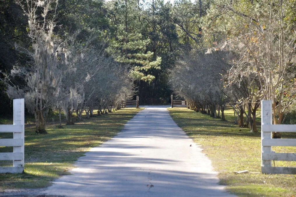 Rodman Plantation #4