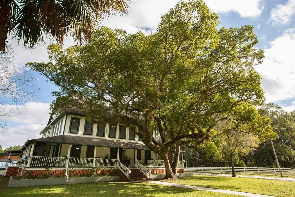 Rodman Plantation #9