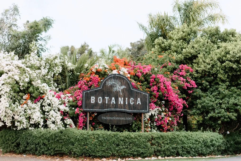 Botanica #6