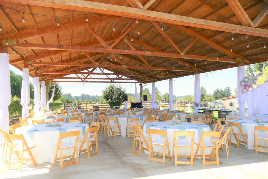 Jacquot Vineyard #2