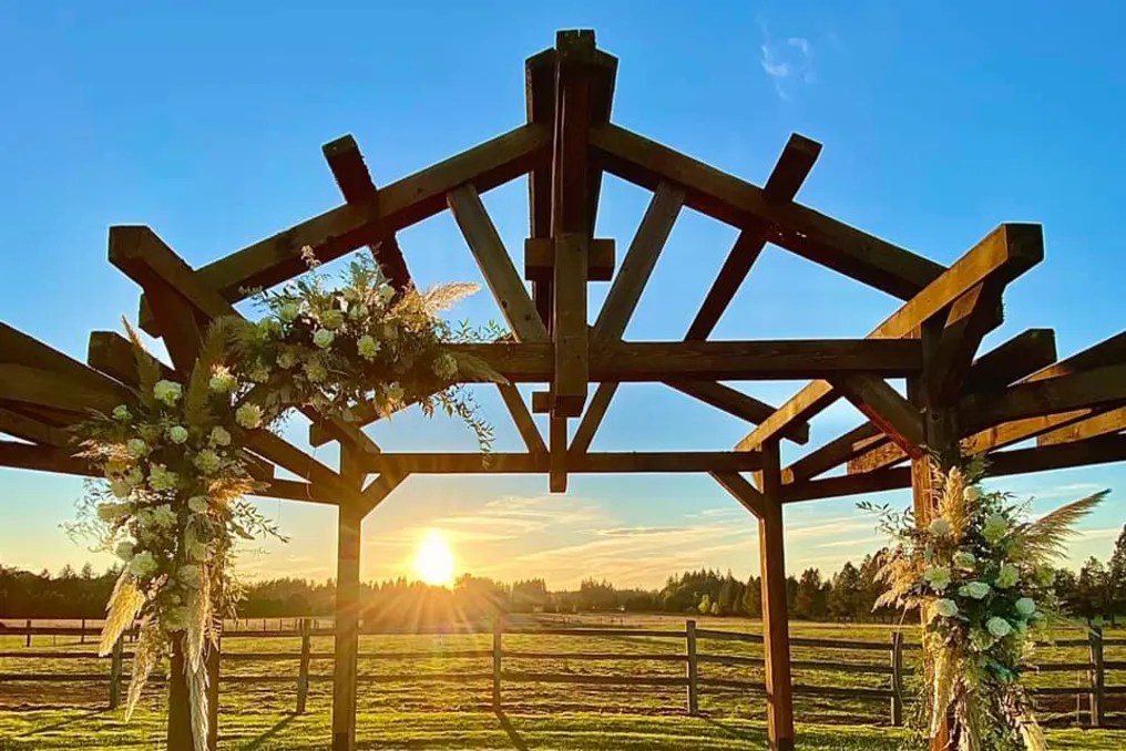 Jacquot Vineyard #15