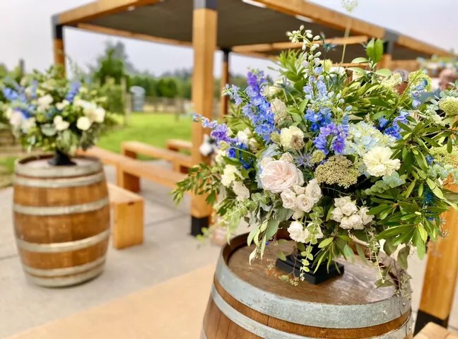 Jacquot Vineyard #20