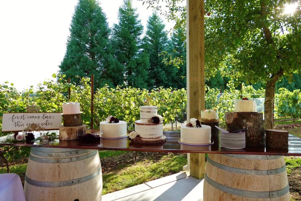 Jacquot Vineyard #21