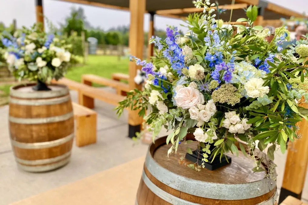 Jacquot Vineyard #25