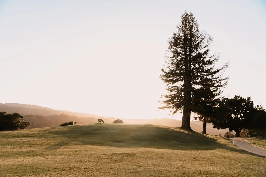 Fairview Crystal Springs #2