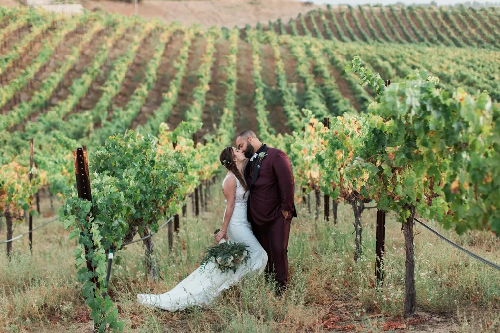 Callaway Vineyard & Winery #43