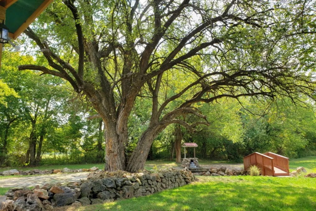 Civil War Ranch #43