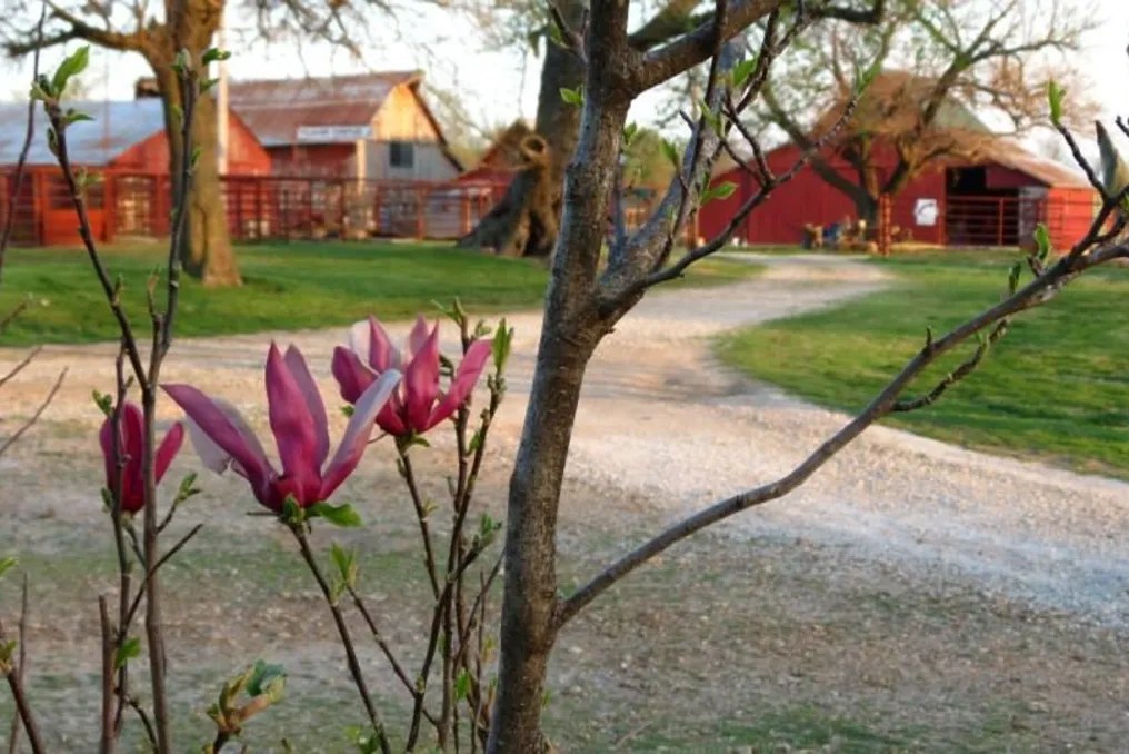 Civil War Ranch #45