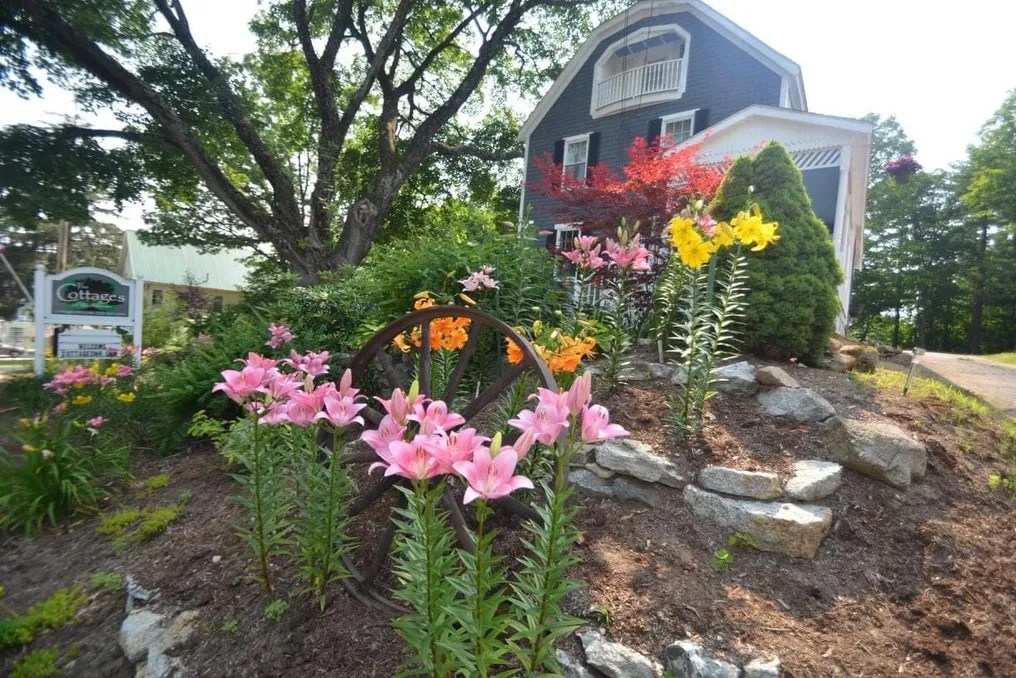 The Cottages of Wolfeboro #13