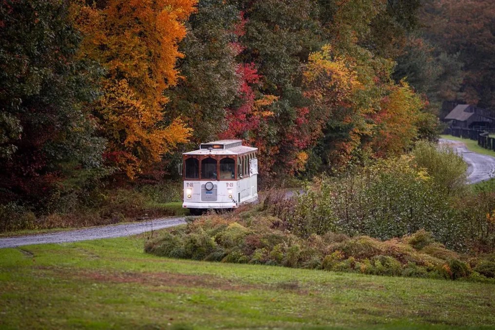 Falls Creek Farm #3