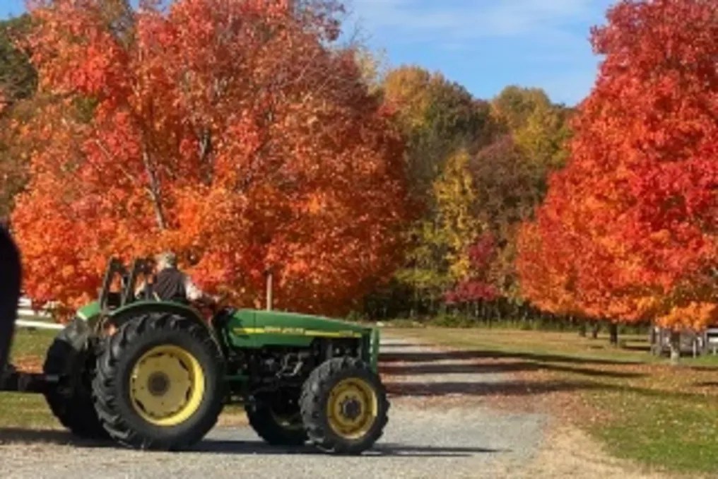 Falls Creek Farm #9