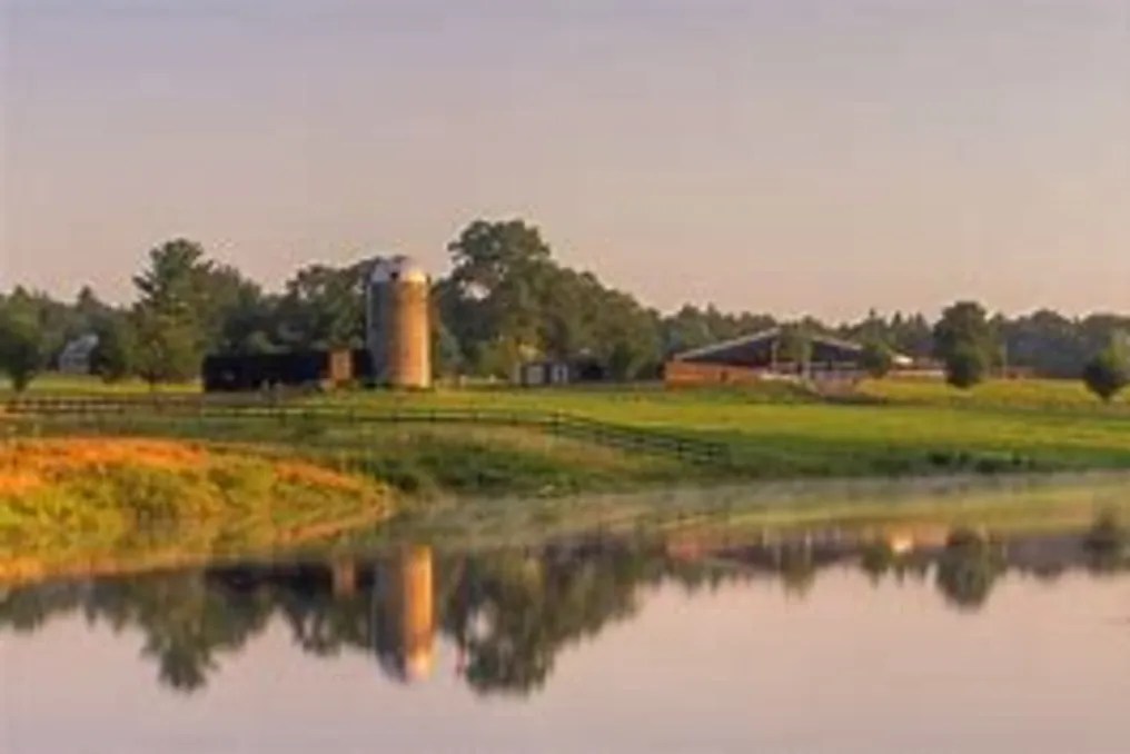 Falls Creek Farm #16