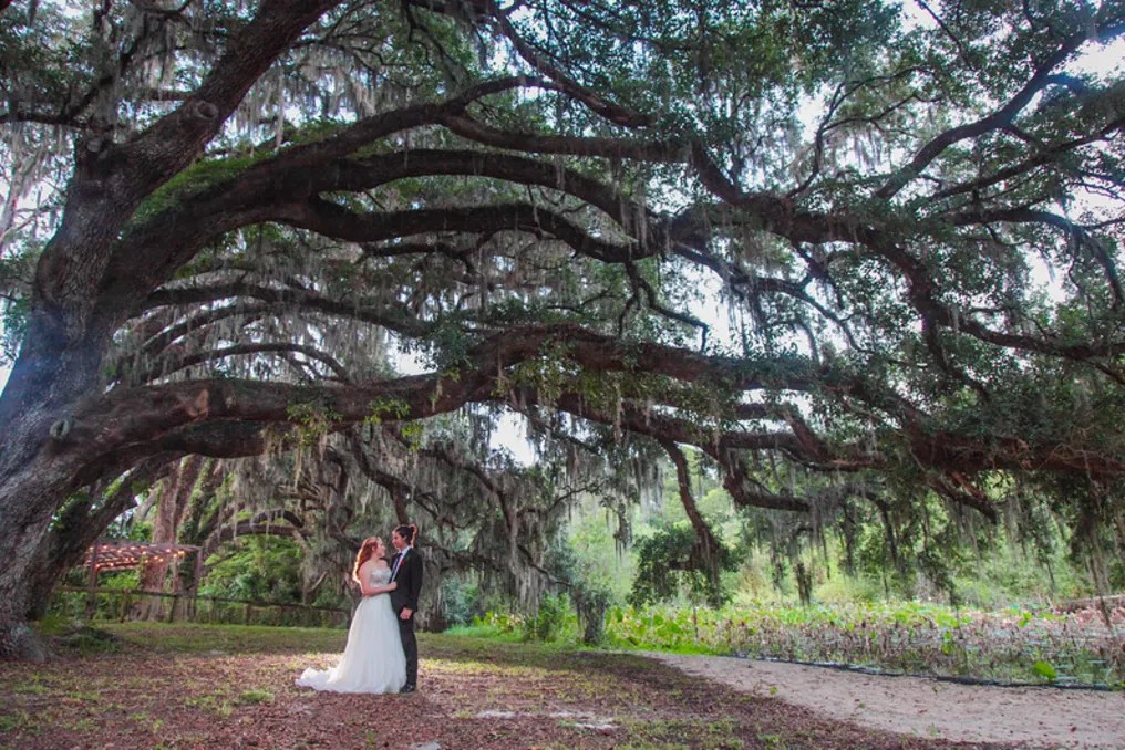 Enchanted Oaks Farm & Lakehouse #20