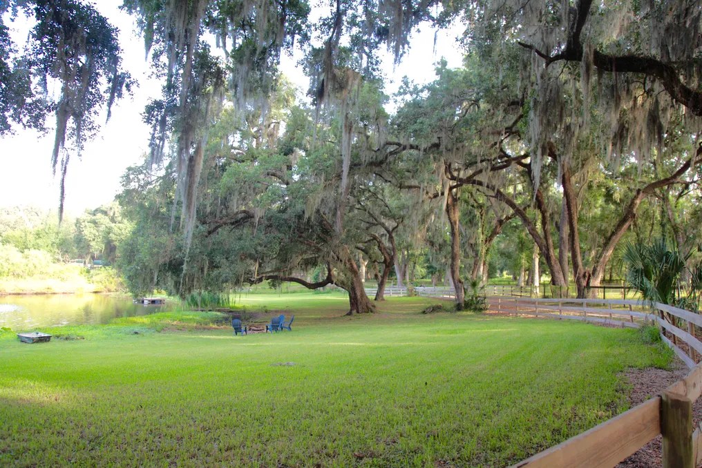 Enchanted Oaks Farm & Lakehouse #21