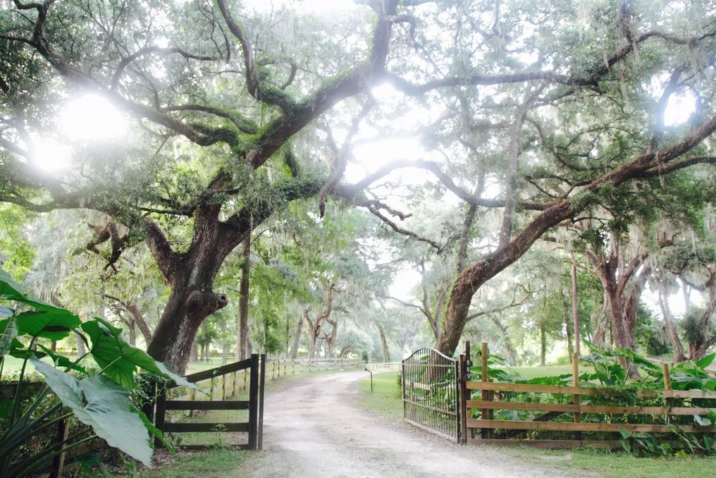 Enchanted Oaks Farm & Lakehouse #22