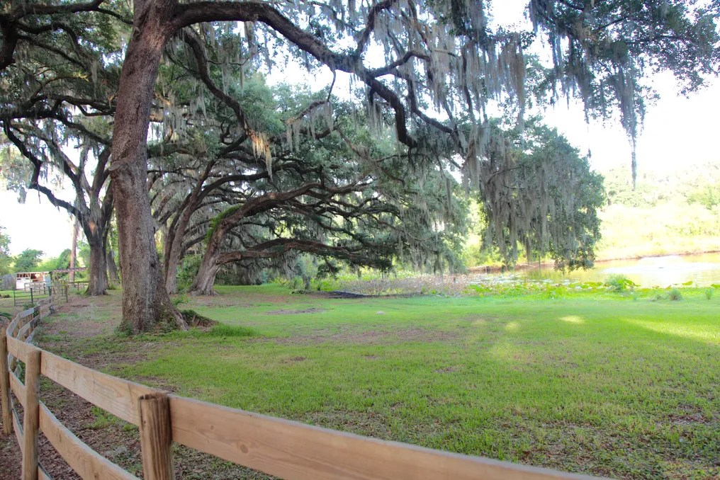 Enchanted Oaks Farm & Lakehouse #23
